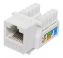 KEYSTONE JACK CAT 6 WIREPLUS BLANCO