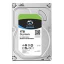 DD 3.5" 10TB SEAGATE SKYHAWK
