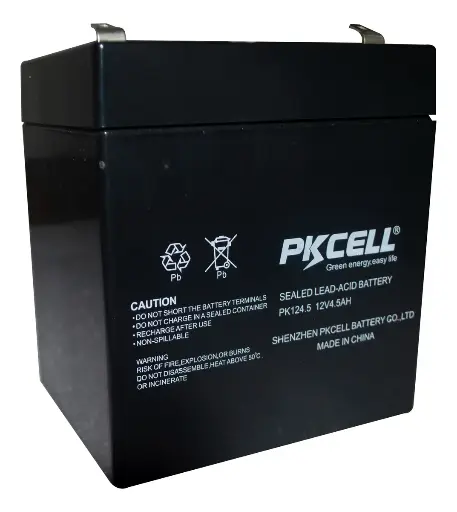 [01606] BATERIA PKCELL GEL 12V - 4.5AH